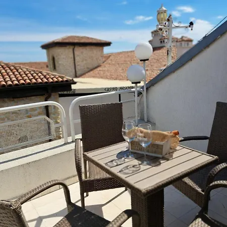 The White House 4* 内塞伯尔