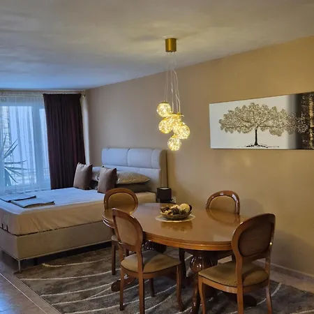 招待所 The White House 内塞伯尔