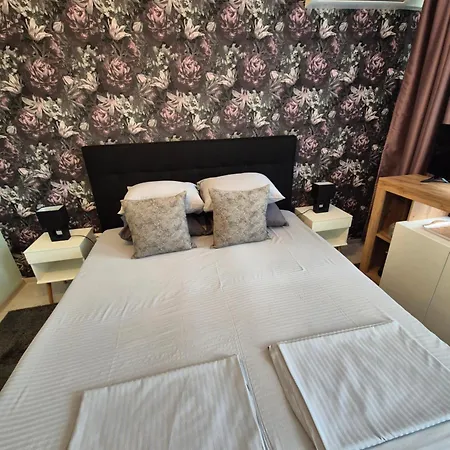 招待所 The White House